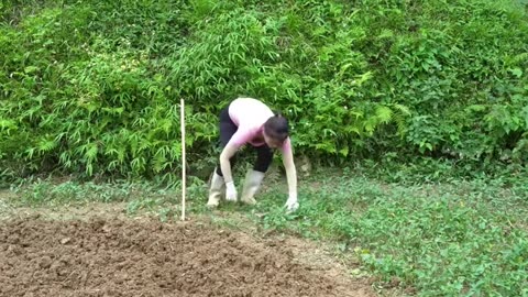 #farmlife #garden #farm #harvest #harvesting #fruitsbasket #outdoors