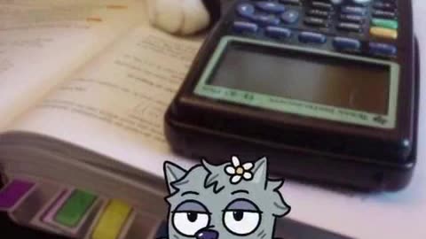 funny cats complet.mp4