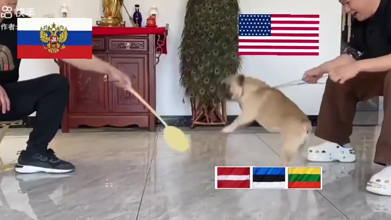 Baltic Tigers Now Trolled Even in China! 😂