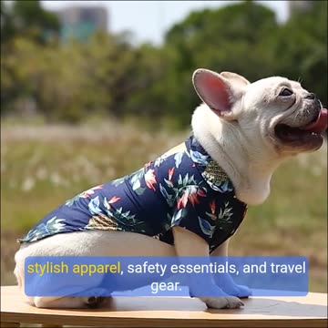 🐾 Furry Nation: Where Pets Are Family Too! ❤️