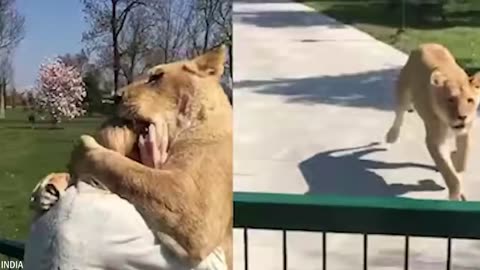 20 Tiere, die ihre Besitzer nach Jahren wiedersehen