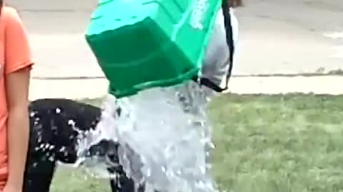 Ice Bucket Fails