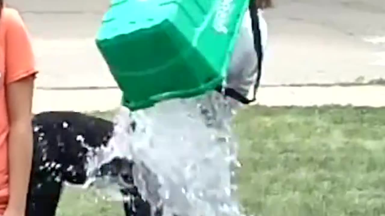 Ice Bucket Fails