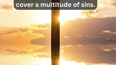 Journey of faith and spiritual growth James 5:20 Daily Bible Verse