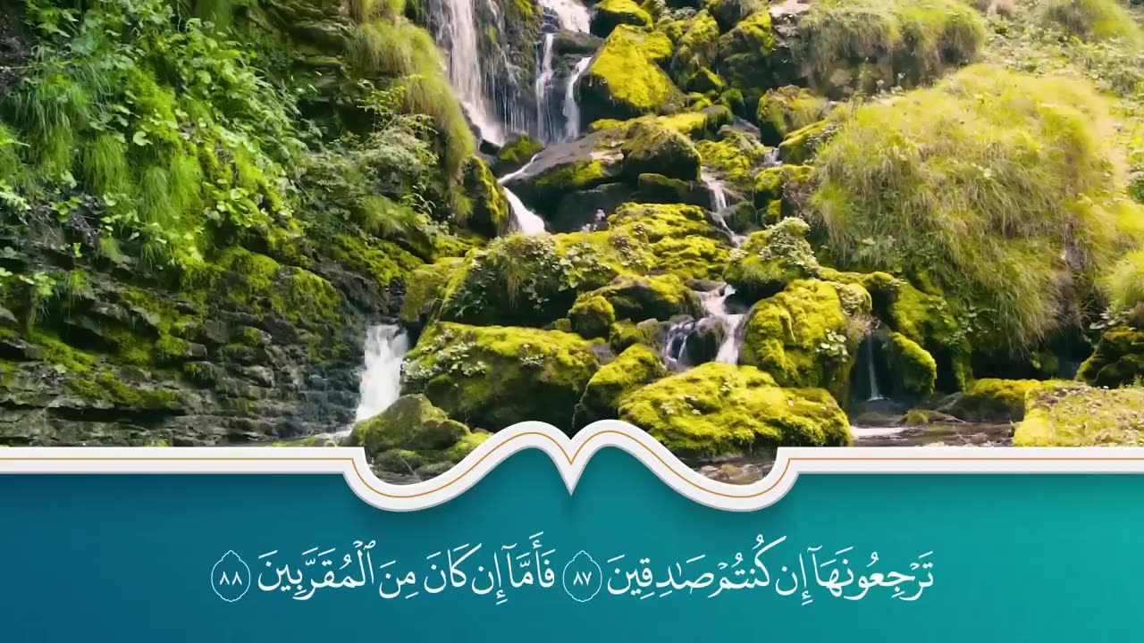 سور الرزق والبركة سورة يس - الرحمن - الواقعة - الملك بصوت الشيخ سعد الغامدي (1)