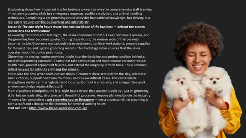 Shadowing Secrets: 5 Business Lessons You Can Only Learn from a 24-Hour Stint