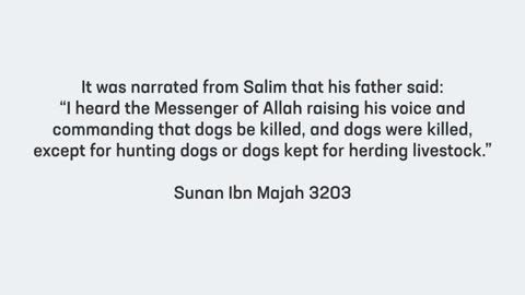 इस्लाम में कुत्तो से नफरत (Dog Phobia in Islam)