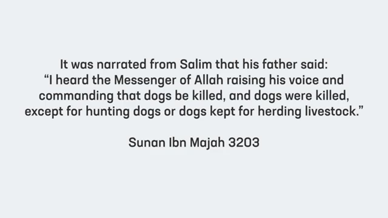 इस्लाम में कुत्तो से नफरत (Dog Phobia in Islam)