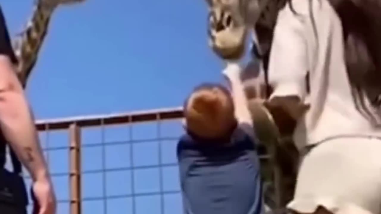 FUNNIEST Pets ! 🤣 TOP Videos of the YEAR