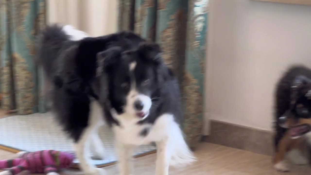 📹 Trending Chinese Viral Videos | Funny, Emotional & Shocking Moments