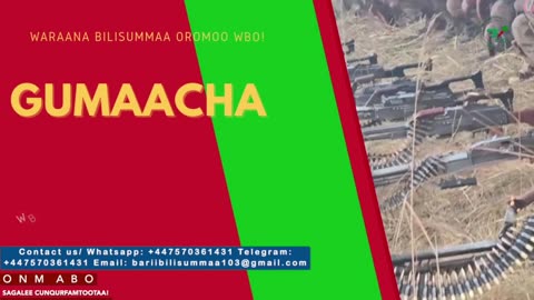 Gabaasa Gumaacha ONM-ABO Adoolessa 31-2025 itti dhiyaadhaa!