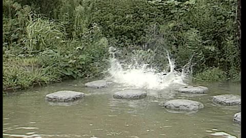 Mxc Most Extreme Elimination Challenge