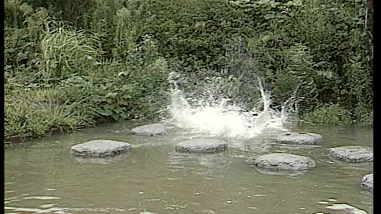 Mxc Most Extreme Elimination Challenge