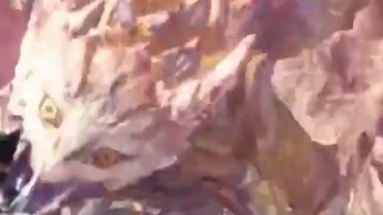 McDicken. Monster Hunter? Ep. (120)? And the horse you rode in on.