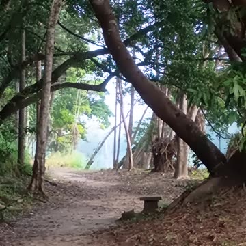 16.5.2025 Perfect Timing