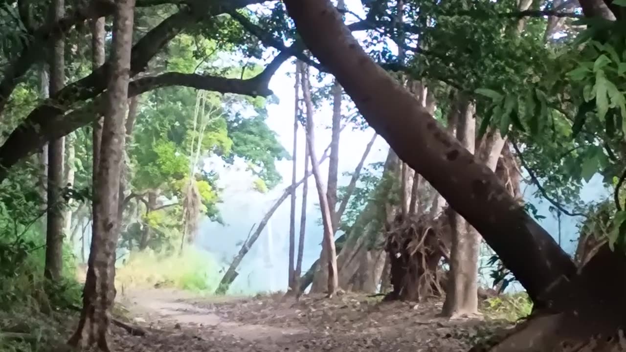 16.5.2025 Perfect Timing