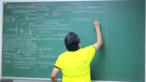 VONEX REPASO 2025 - 1 | Semana 07 | Anatomía