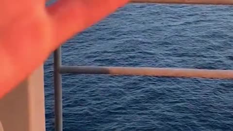 Ocean Days, Rig Nights