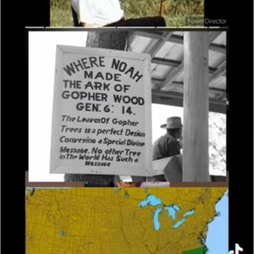 The wood Noah used is only found in America