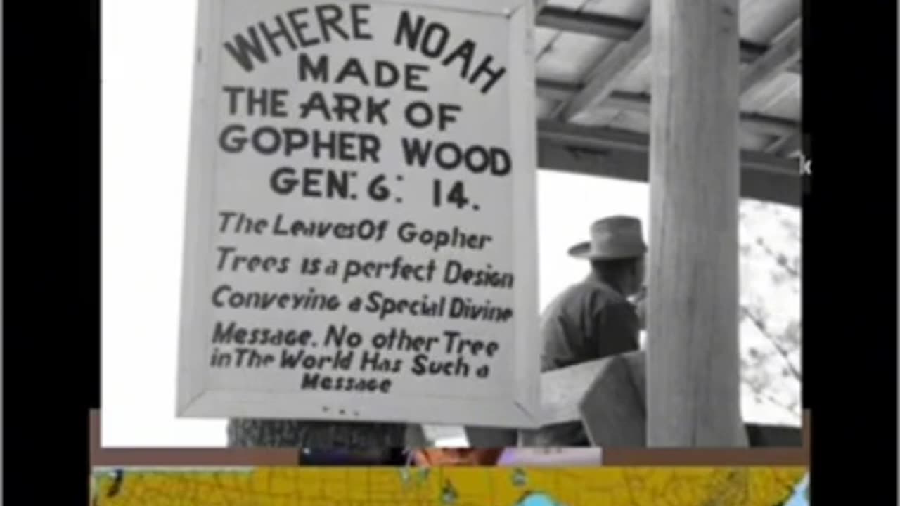 The wood Noah used is only found in America
