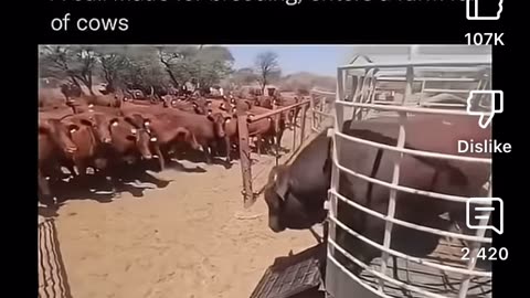 I was joking at first, but