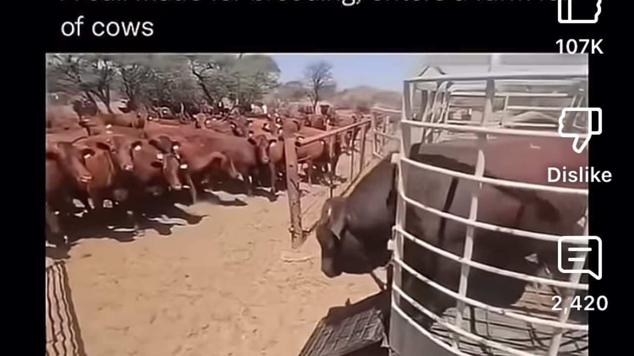 I was joking at first, but