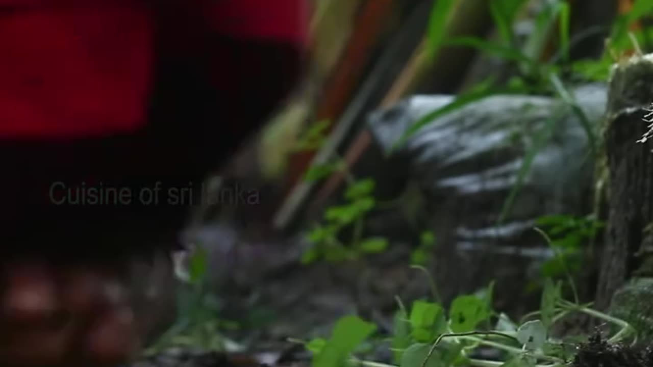 අමු අඹ ලුනුමිරිස