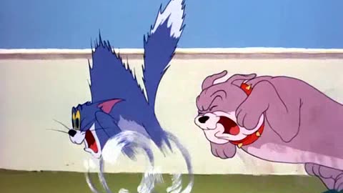 Tom & Jerry – Episode 076: "That's My Pup!" (1953) – Tiny Pup, BIG Trouble! 🐶🐭🐱
