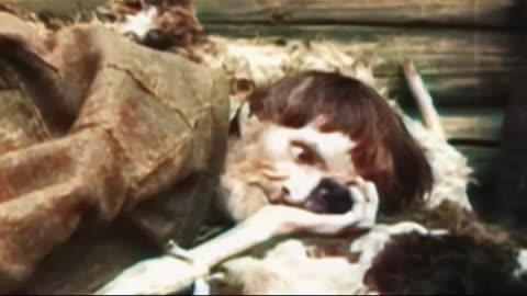 Plandemic the great awakening movie