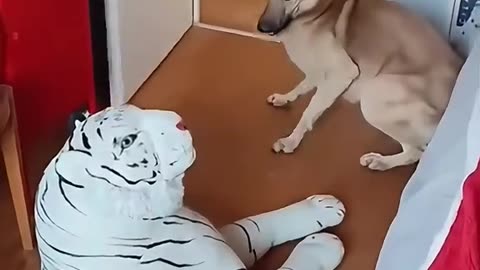 Funny