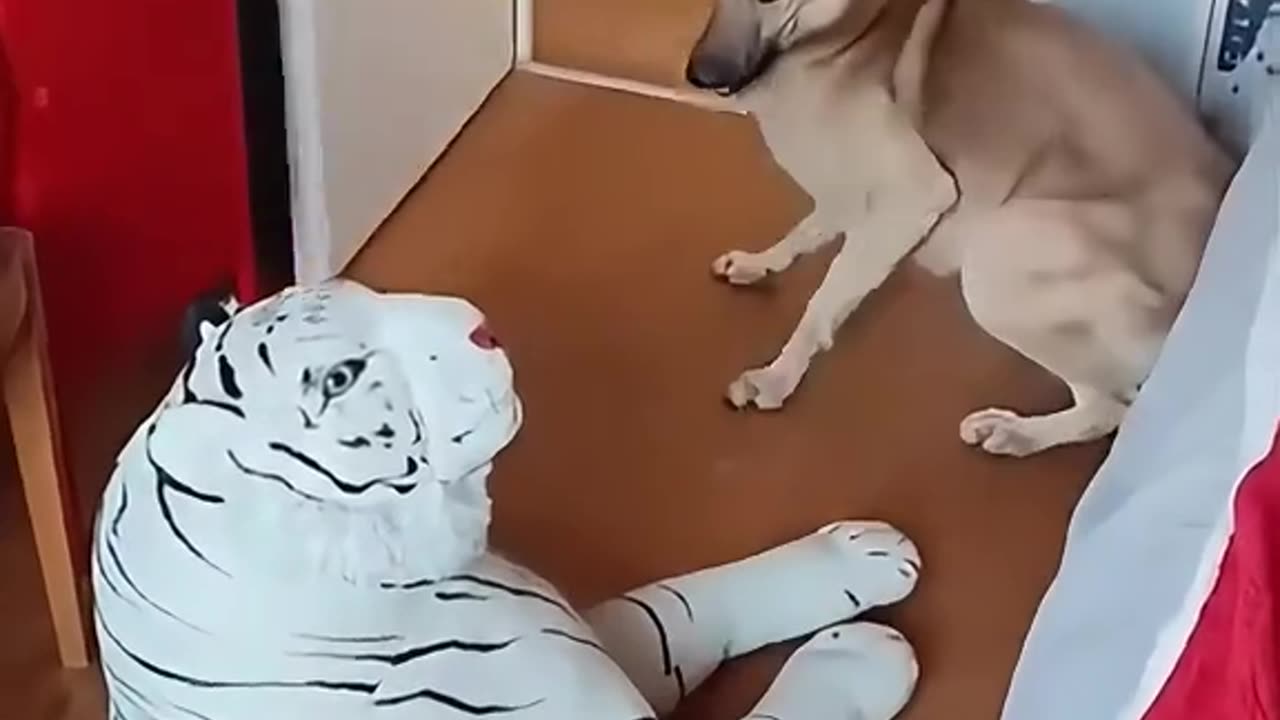 Funny