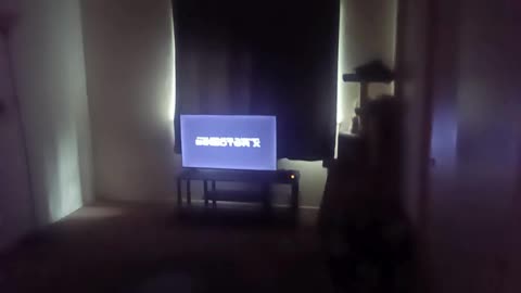 The Best Of 2025 - MUST WATCH VIDEOS Included Pranks & etc.