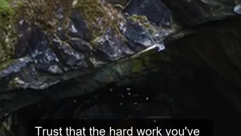 Daily Horoscope | Taurus 🌟