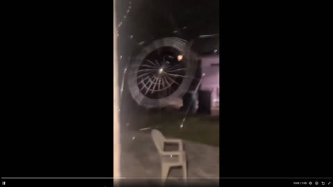 Impressive little critters: Watch a spider spin a web with perfection