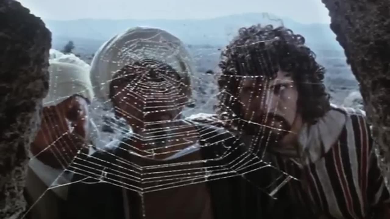 " The Message 1976 " | Edit