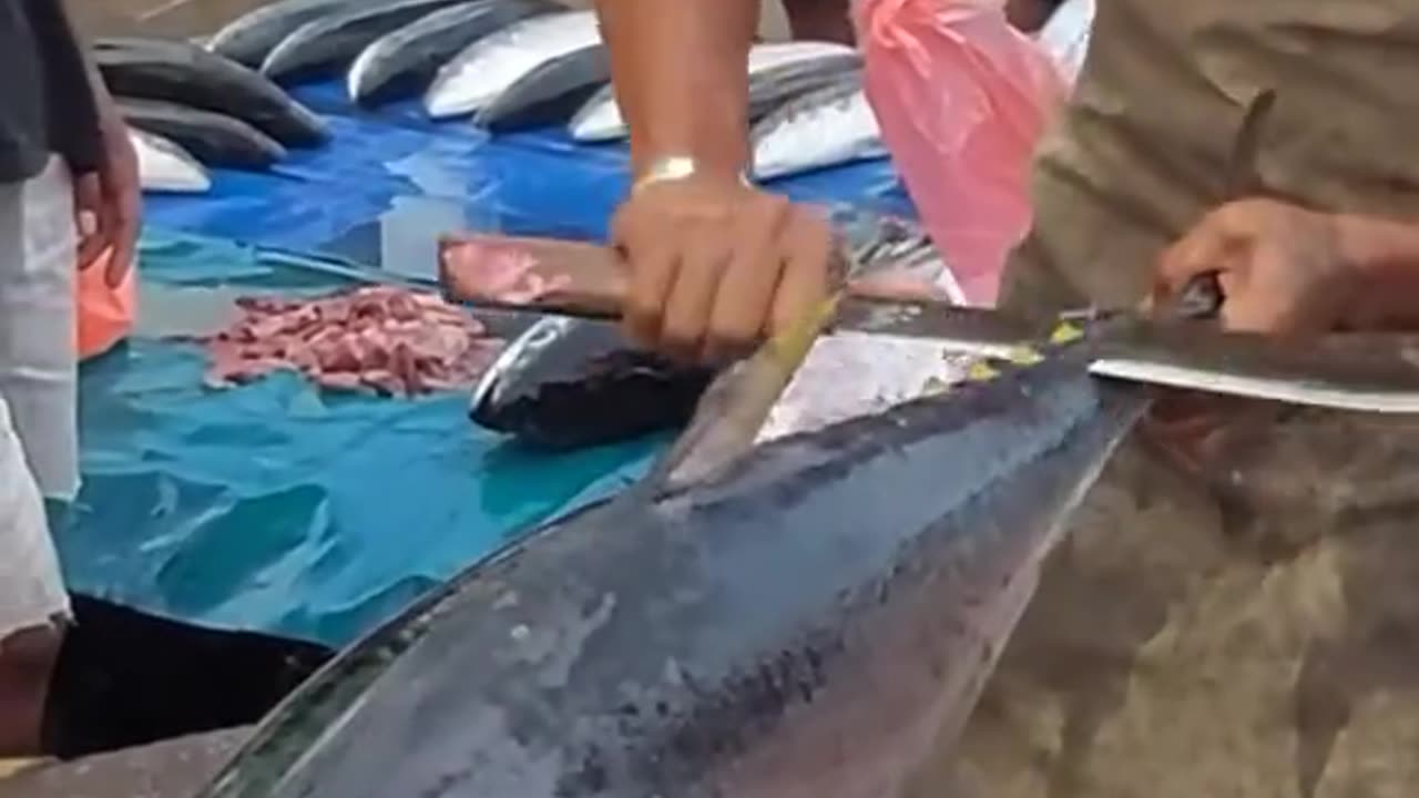 Fish cutting video