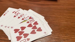 I'm all in!