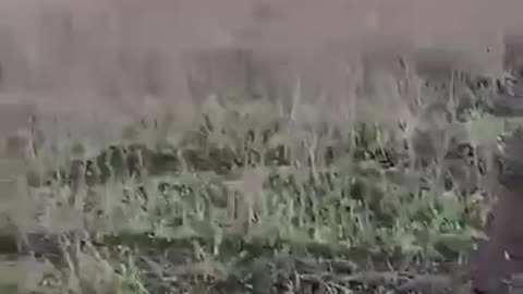 🐝🕸️ The consequences of using a huge number of fiber optic FPV drones on the front!