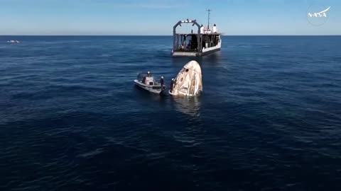 Dolphins swim around SpaceX capsule after splashdown