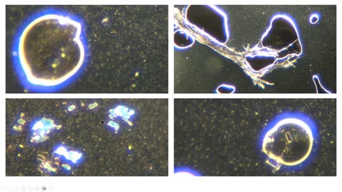 Daniel Estulin & Dr. Mihalcea on Nano Tech in our Bodies