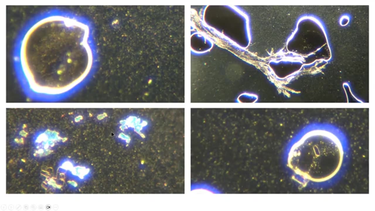 Daniel Estulin & Dr. Mihalcea on Nano Tech in our Bodies