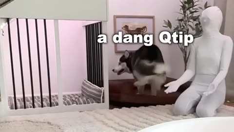 Hiding from my dog
