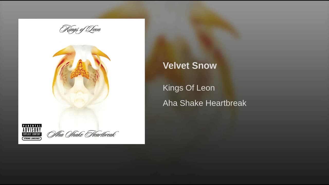 Kings Of Leon - Velvet Snow