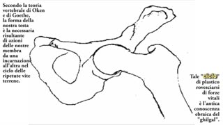 Rythmus et Mensura