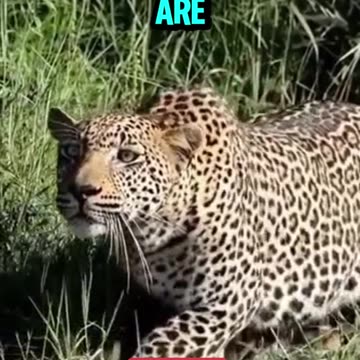 What is a partnership 💸