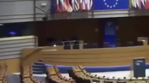 German MEP Christine Anderson dropped a promise that is shaking the European Parliament