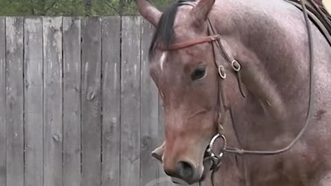 Let's get control of those hips!