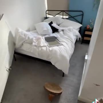 A lady's Airbnb was used by 20 men(no prizes for what kind of "men")