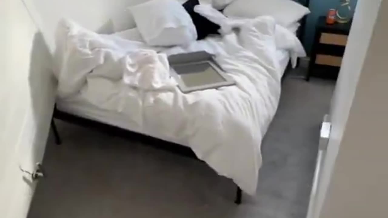 A lady's Airbnb was used by 20 men(no prizes for what kind of "men")