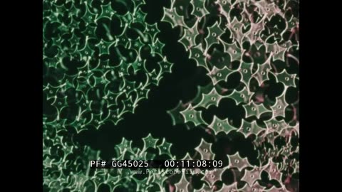 This is Cybernetics | 1970s Interface Between Man, Computers & Artificial Intelligence